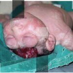 ネットで知り合った人に会いに行きたいんだけど注意することある？