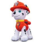 【悲報】アクアシティお台場のイベント、参加しないと損やんけ！